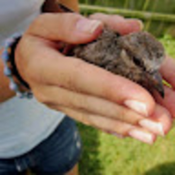 Meet your Posher, Lauren - Picture 1 of 1